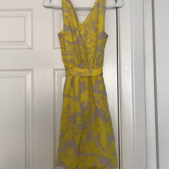 Express Summer Dress - Picture 4 of 4